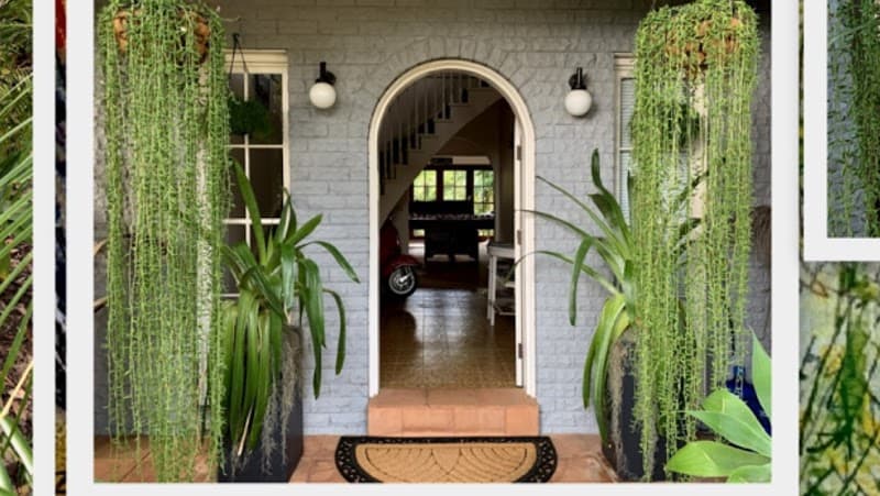 Palm Beach Bed and Breakfast - Photo 1