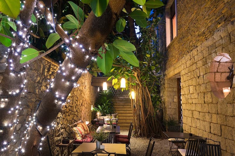 Primero Primera - Photo 4