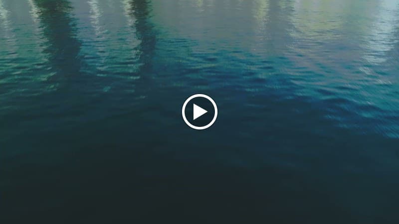 Hilton Dubai Palm Jumeirah - Photo 2