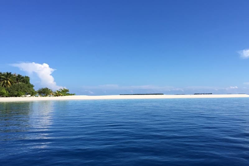 Island Host - Photo 3