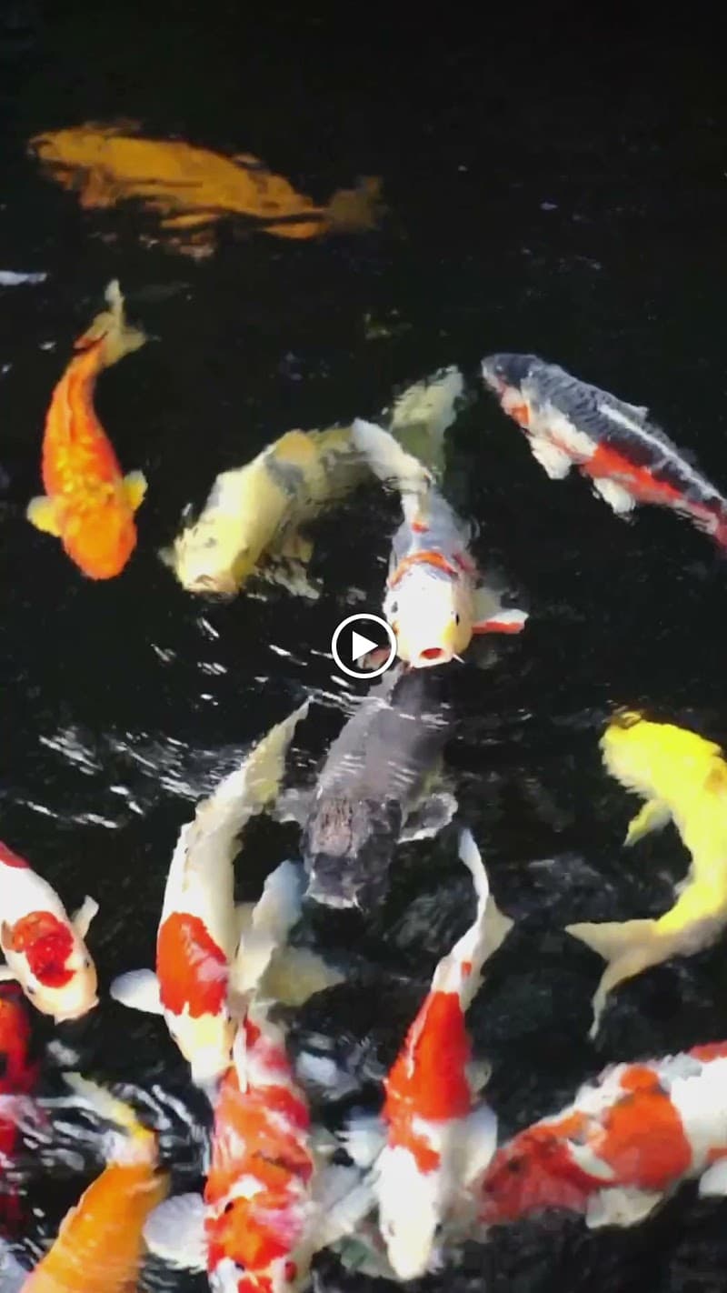 Adiwana Unagi Suites - Photo 4