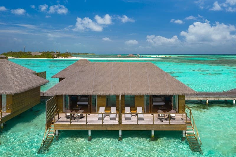 Cocoon Maldives - Photo 3