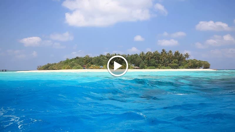 Island Host - Photo 1