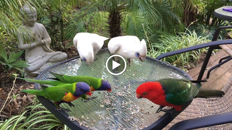 Palm Beach Bed and Breakfast - Photo 5