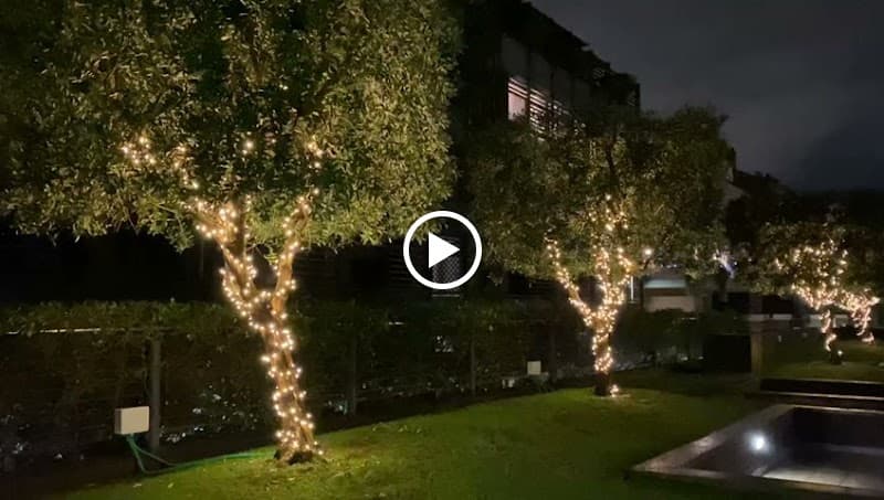 Home Sorbara - Photo 3