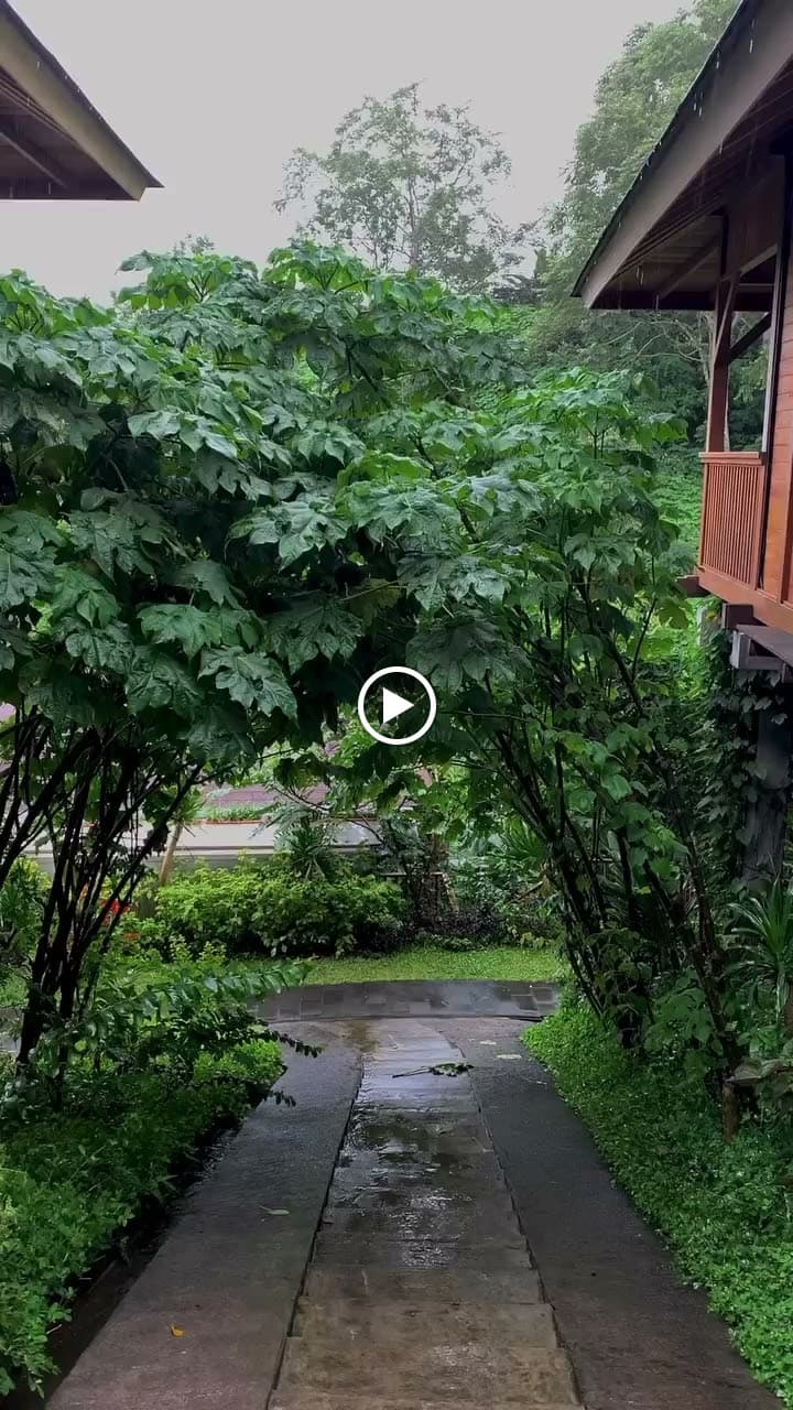 Giriwood Hotel & Villa - Photo 3