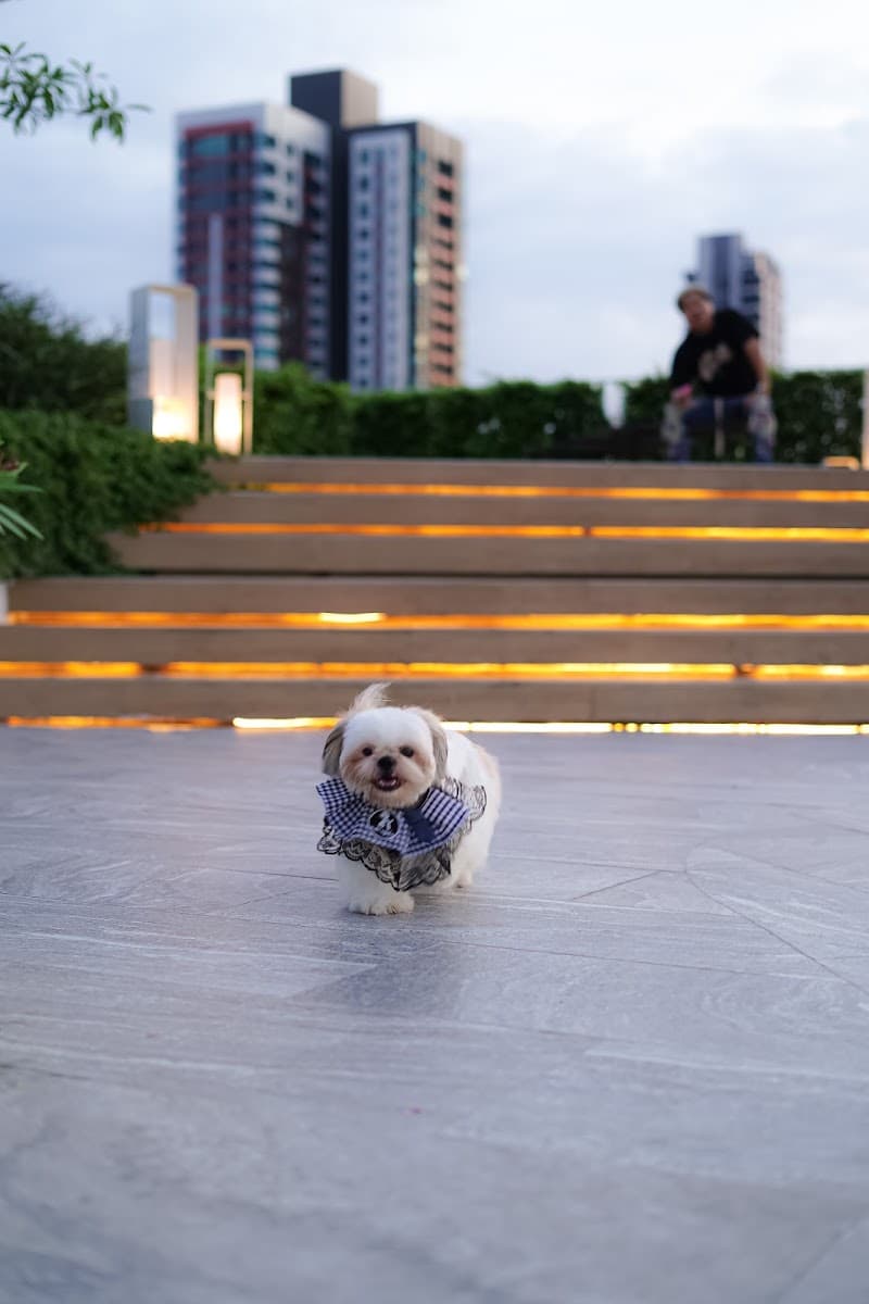 Shama Yen-Akat Bangkok - Photo 3