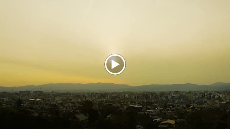 Luxury hotel SOWAKA - Photo 3